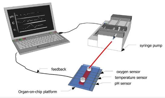 圖1:示意圖顯示了如何使用傳感器連續(xù)監(jiān)測微流體通道內(nèi)的生化參數(shù)。 圖1:示意圖顯示了如何使用傳感器連續(xù)監(jiān)測微流體通道內(nèi)的生化參數(shù)。