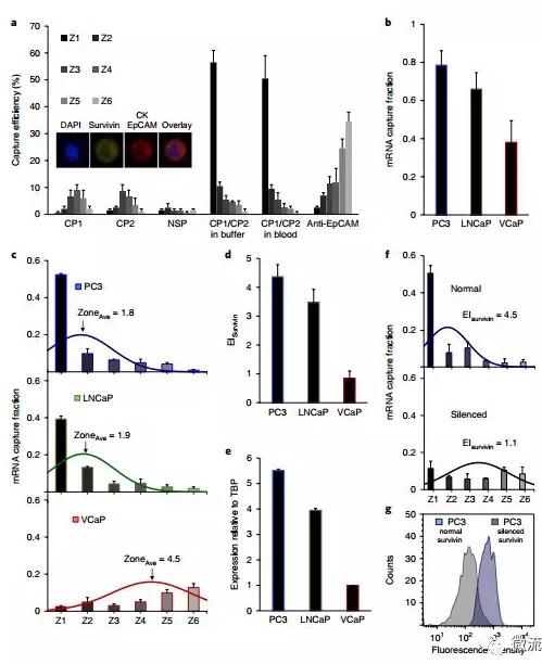 基于微流控芯片的新型液體活檢技術，助力前列腺癌診療