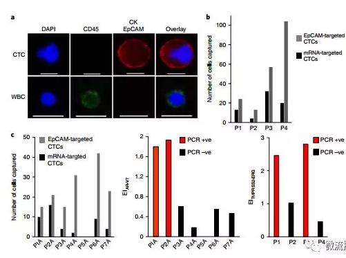 基于微流控芯片的新型液體活檢技術，助力前列腺癌診療