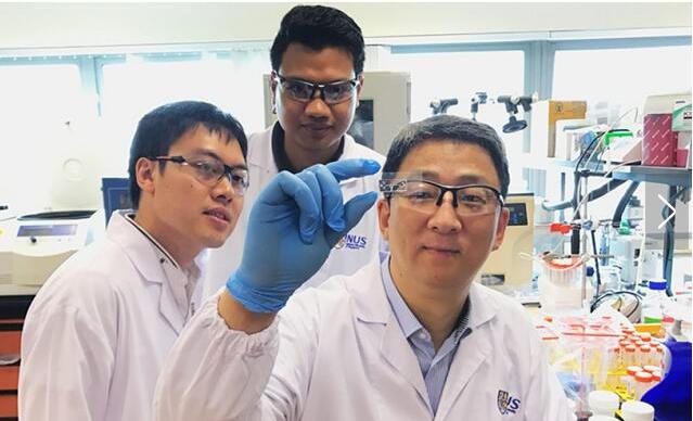 微流控技術使得低成本無標記疾病診斷成為可能 微流控技術使得低成本無標記疾病診斷成為可能