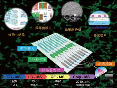 小芯片 大用途  微流控芯片細(xì)胞分析