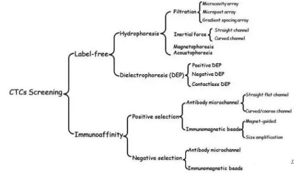 圖2:微流控系統(tǒng)分離CTCs的方法 圖2:微流控系統(tǒng)分離CTCs的方法