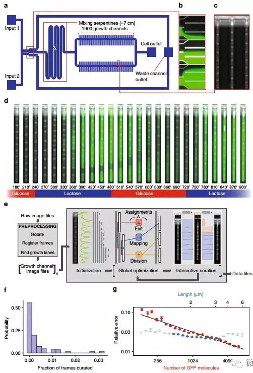 球最小的實(shí)驗(yàn)室, 集成微流控動態(tài)可控監(jiān)測單細(xì)胞基因調(diào)控