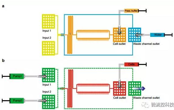 球最小的實(shí)驗(yàn)室, 集成微流控動態(tài)可控監(jiān)測單細(xì)胞基因調(diào)控