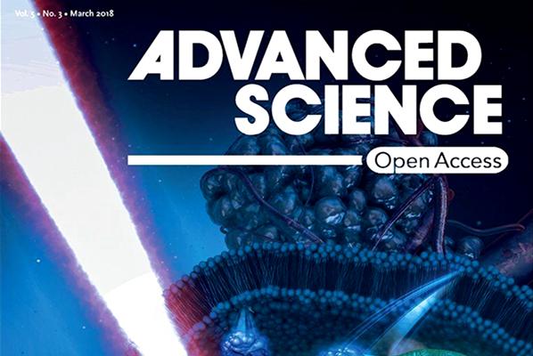 在多腔室微囊系統(tǒng)研究方面取得重要進(jìn)展