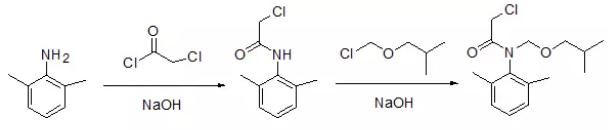 反應(yīng)方程式