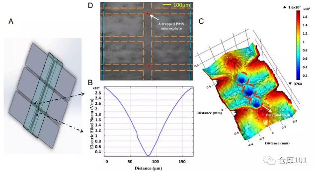 圖3. 多元復雜體系中單個生物粒子限制功能 A)微流控芯片示意圖；B)微流控管道內電勢分布；C)三維電勢圖；D)顯微照相圖