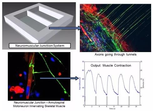 1527038585233017.jpg Q1.jpg