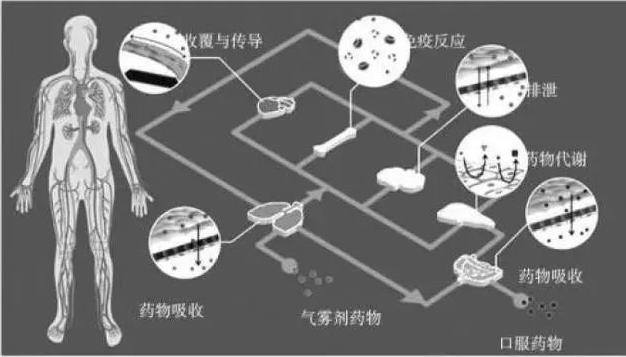 人體芯片示意圖