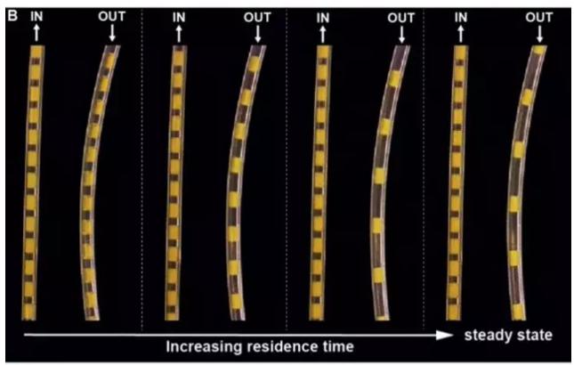 光催化多相連續(xù)氟化反應 光催化多相連續(xù)氟化反應