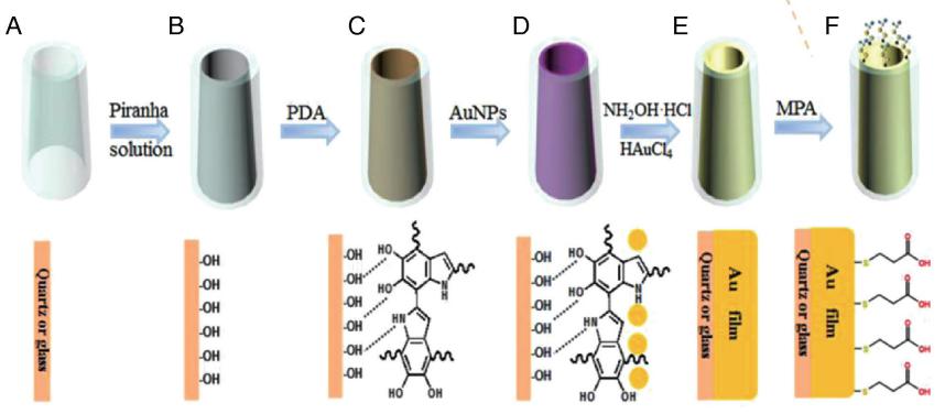 圖1金環(huán)微電極的制作步驟 圖1金環(huán)微電極的制作步驟