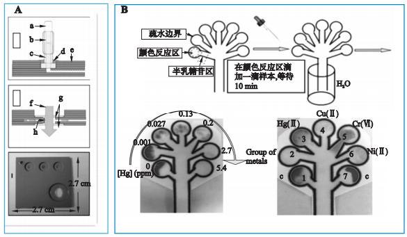 圖1重金屬檢測微流控芯片系統