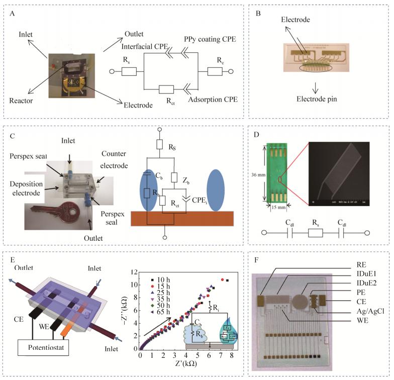 圖3微流控芯片電化學阻抗檢測生物被膜實例