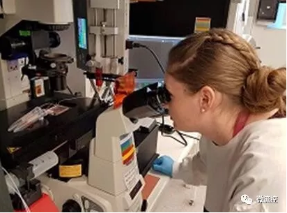 微流控技術在孕婦血樣檢測領域取得突破