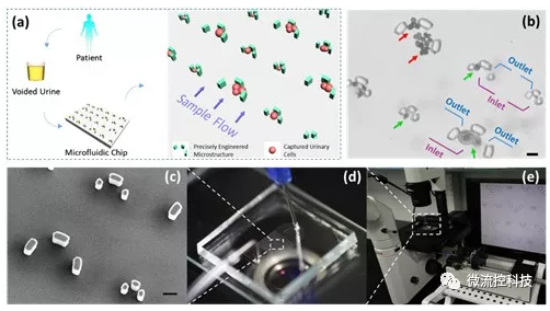 微流控技術在膀胱癌無創檢測領域取得重要進展