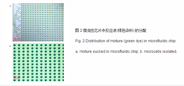 微流控芯片中反應(yīng)液綠色染料的分配 微流控芯片中反應(yīng)液綠色染料的分配