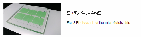 微流控芯片實(shí)物圖 微流控芯片實(shí)物圖