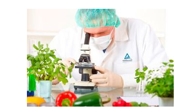 食品檢測(cè)