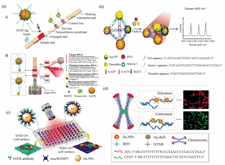 實驗結構示意圖