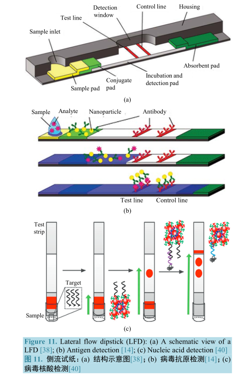 測流試紙 測流試紙