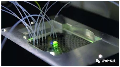 微流控芯片技術