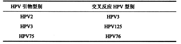 表2皮膚低危型別組內(nèi)出現(xiàn)交叉反應(yīng)的HPV型別 表2皮膚低危型別組內(nèi)出現(xiàn)交叉反應(yīng)的HPV型別