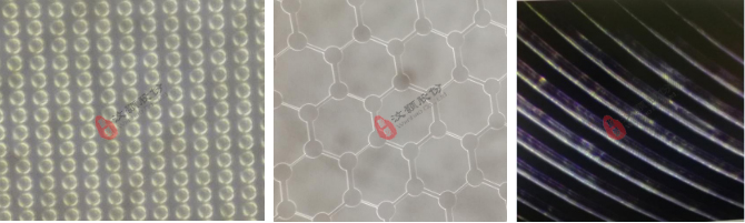 單層SU-8光刻膠模具局部結(jié)構(gòu)放大圖 單層SU-8光刻膠模具局部結(jié)構(gòu)放大圖