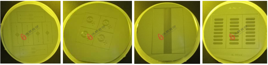 厚度分別為30μ、50μ、200μ、500μ SU-8硅片模具 厚度分別為30μ、50μ、200μ、500μ SU-8硅片模具