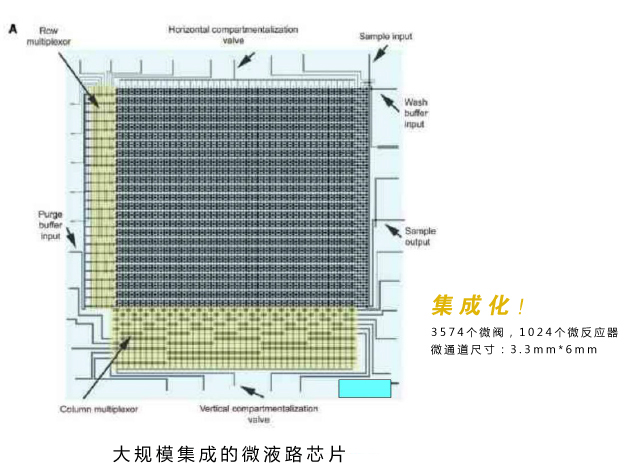 微流控芯片實驗室技術優勢：大規模集成的微液路芯片