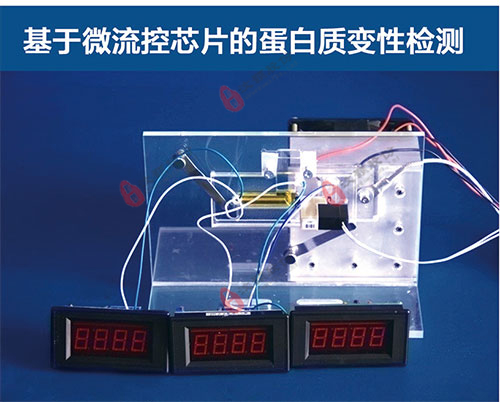 基于微流控芯片的蛋白質變性檢測