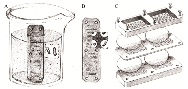 圖3分離芯片原位培養微生物的示意圖
