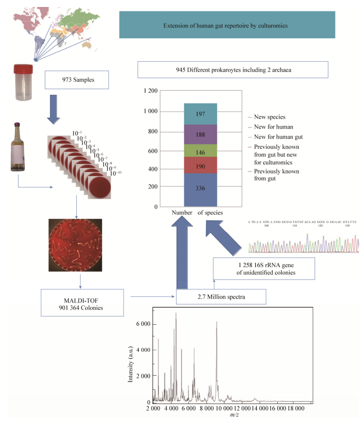 圖6培養組學工作的原理圖