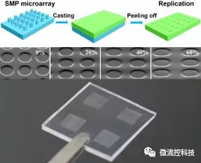 圖2. 采用不同拉伸程度的形狀記憶微柱陣列復(fù)制出來的系列連續(xù)形變的PDMS微陣列