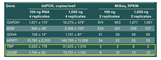 NGS驗證及文庫定量