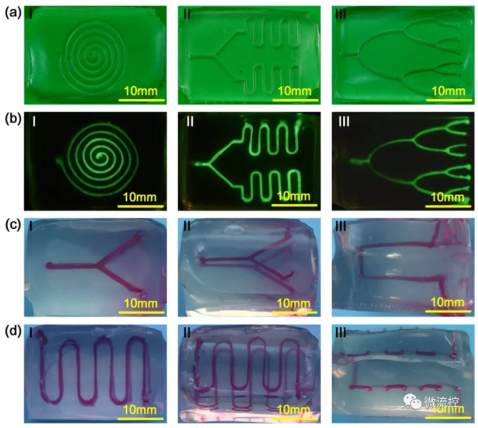 帶有復雜內部流道的水凝膠芯片