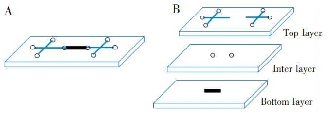 磁珠芯片設計圖:(A)芯片俯視示意圖;(B)芯片各層示意圖