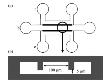 圖1芯片的結構示意圖