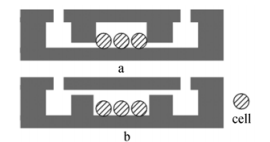 圖3兩種芯片結構示意圖