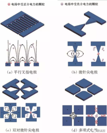 圖5 不同電極結(jié)構(gòu)產(chǎn)生的非均勻電場(chǎng)中受正介電力和負(fù)介電力的粒子捕獲示意