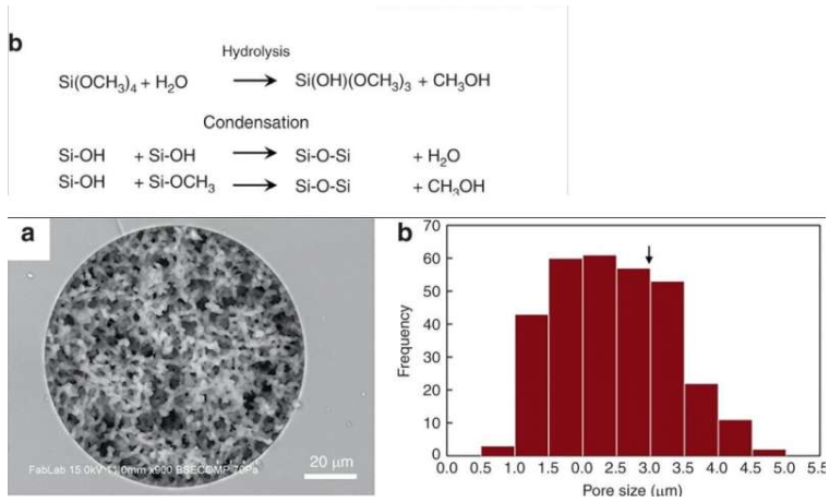 使用微流控整體裝置從血液中分離完整細菌 使用微流控整體裝置從血液中分離完整細菌