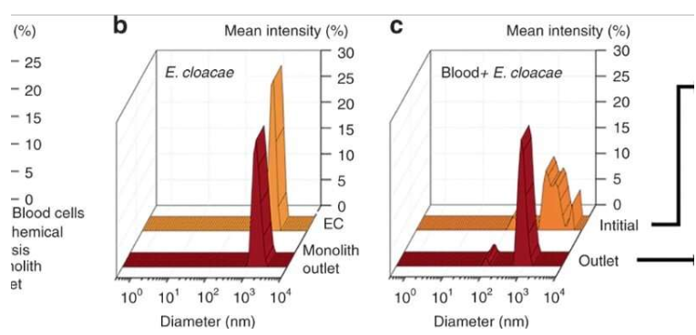 使用微流控整體裝置從血液中分離完整細菌 使用微流控整體裝置從血液中分離完整細菌