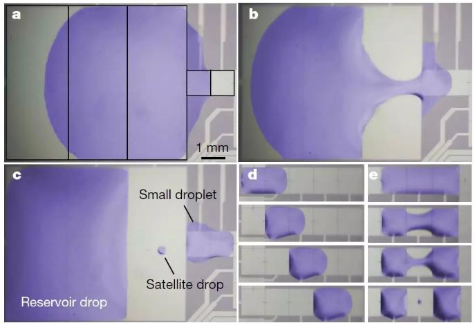 圖三：液滴在MEMS芯片的液流通道中產生、移動和融合