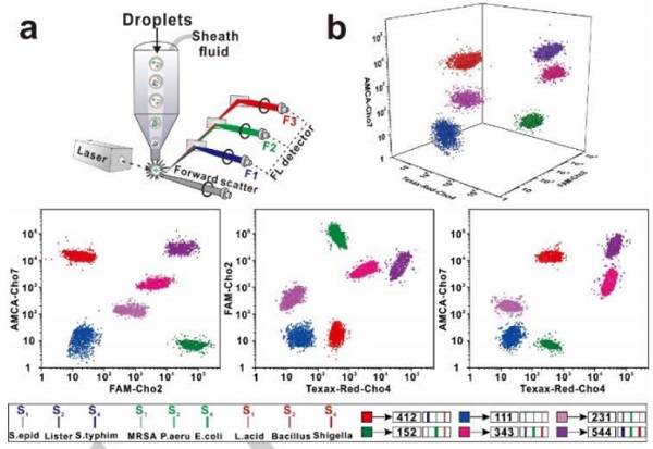 使用基于SDwalker-Drop的顏色和強度編碼條形碼進行實際樣品分析 使用基于SDwalker-Drop的顏色和強度編碼條形碼進行實際樣品分析
