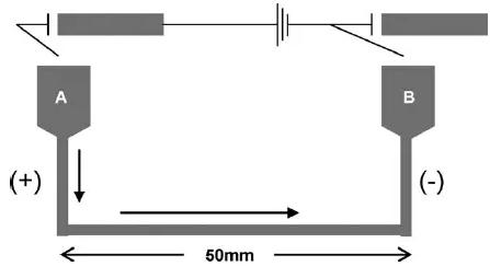 圖13. 用于Suzuki偶聯反應的毛細管微反應器的示意圖