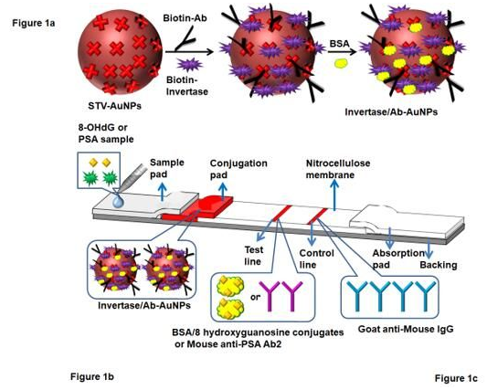 “微流控+智能手機(jī)血糖儀” 打造非血糖分子檢測(cè)平臺(tái)，量化評(píng)估DNA過(guò)氧化損傷
