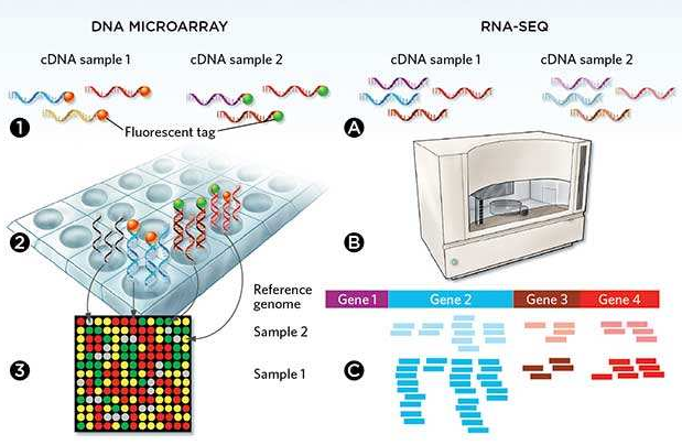 微流控自動化技術革新RNA-Seq文庫構建流程 --- FLUIDIGM發布更高效、更節約成本的Advanta RNA-Seq NGS 文庫構建解決方案