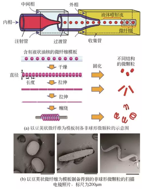 豆莢狀微纖維模板法制備非球形微顆粒