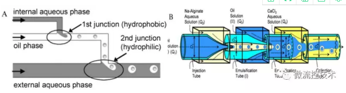 微流控液滴的應用-食品加工方面