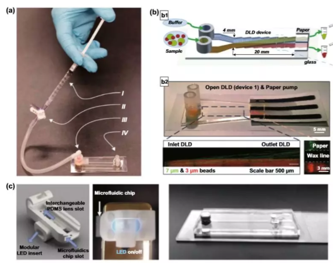 圖5 用于顆粒分離的DLD設(shè)置簡(jiǎn)化。