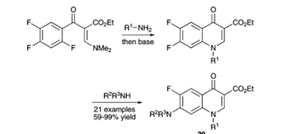 方案13 環丙沙星類似物庫的合成30